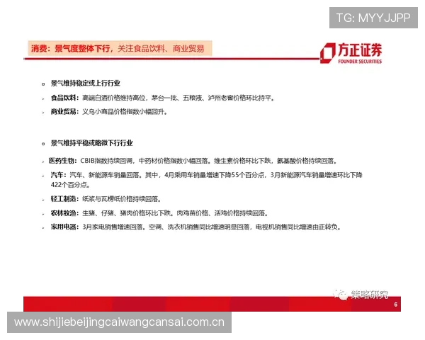 专家推荐的世界杯伊拉克对挪威比赛理性竞猜方案与风险控制措施